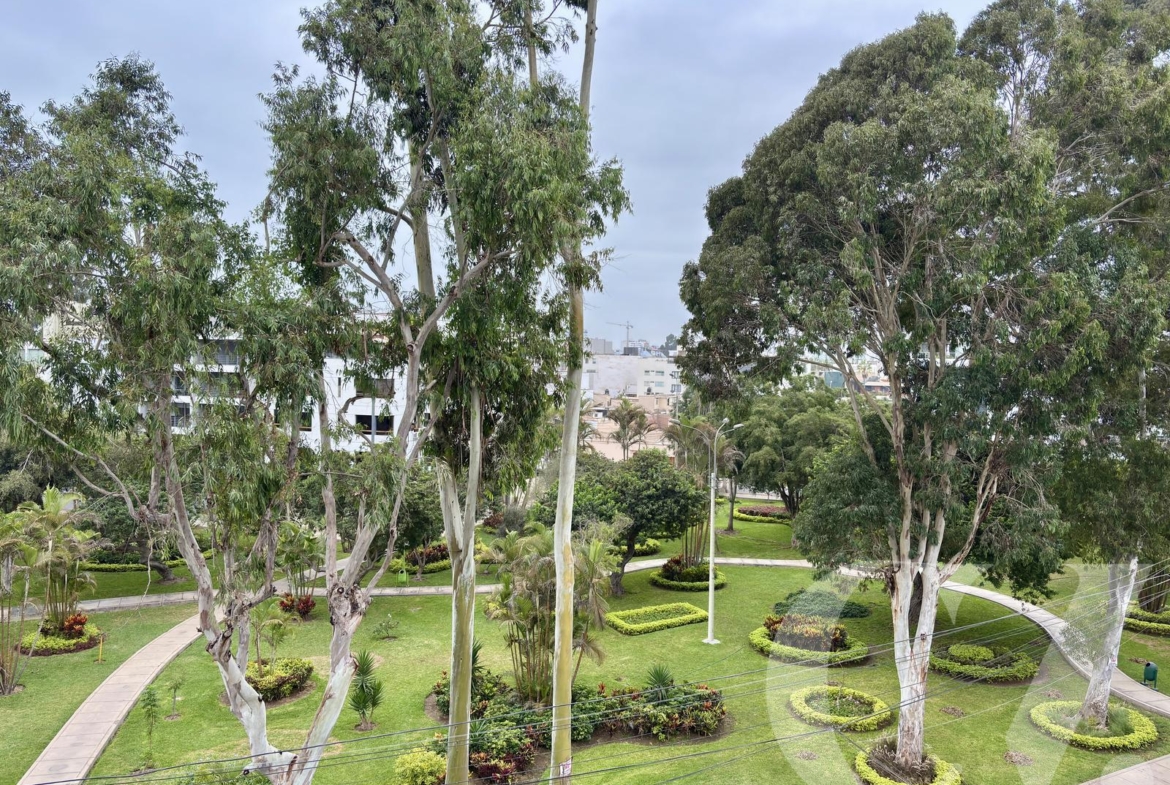 DUPLEX CON TERRAZA GRANDE, BBQ, Y VISTA A PARQUE
